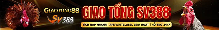 GIAOTONG88